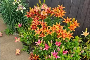 612 W Eau Claire St, Rice Lake, WI 54868 - Photo 28