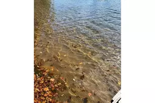 10325 Teepee Trail, Iron Ridge, WI 54847 - Photo 6