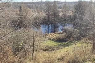 1816 300th Ave, Frederic, WI 54837 - Photo 16