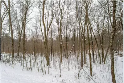 2447 50th Avenue, Woodville, WI 54028 - Photo 12