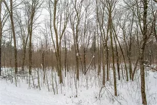 2447 50th Ave, Woodville, WI 54028 - Photo 12