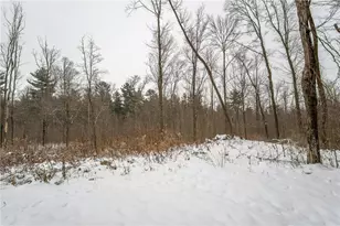 2447 50th Ave, Woodville, WI 54028 - Photo 14