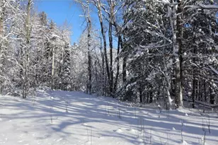 15660 Co Hwy M, Cable, WI 54821 - Photo 36