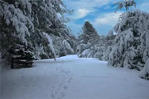 N2991 Sunset Dr, Shell Lake, WI 54871 - Photo 22