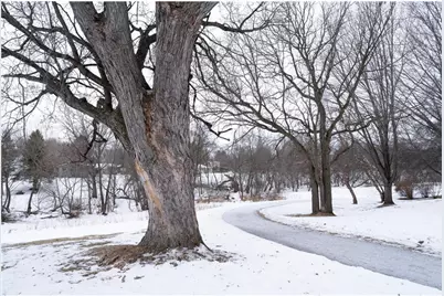 434 E 11th Street #L, New Richmond, WI 54017 - Photo 40