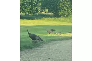 2061 10th Ave, Star Prairie, WI 54026 - Photo 56