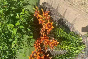 2061 10th Ave, Star Prairie, WI 54026 - Photo 50