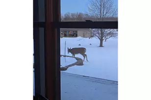 2061 10th Ave, Star Prairie, WI 54026 - Photo 48