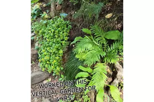 217 Cedar Dr, Hudson, WI 54016 - Photo 66