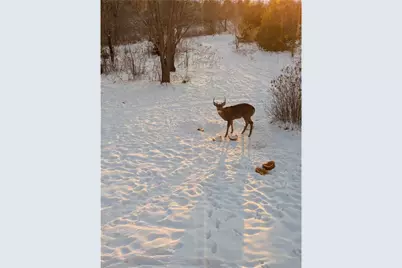 W11213 840th Avenue, Clifton Township, WI 54022 - Photo 66