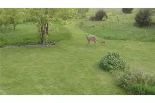 W11213 840th Ave, Clifton Township, WI 54022 - Photo 68