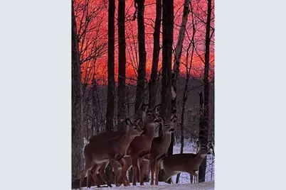 323 220th, Johnstown, WI 54826 - Photo 32