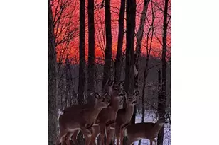 323 220th, Johnstown, WI 54826 - Photo 32