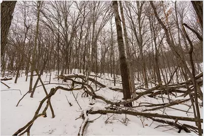 E6783 1090th Avenue, Otter Creek Township, WI 54772 - Photo 30