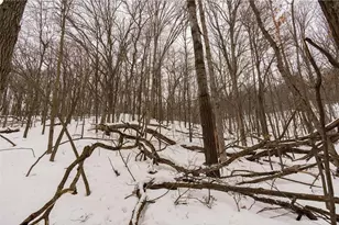 E6783 1090th Ave, Otter Creek Township, WI 54772 - Photo 30