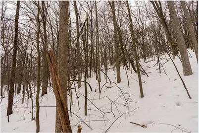 E6783 1090th Avenue, Otter Creek Township, WI 54772 - Photo 24