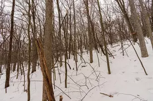 E6783 1090th Ave, Otter Creek Township, WI 54772 - Photo 24