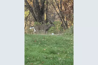 4304 Tamara Drive, Eau Claire, WI 54701 - Photo 48