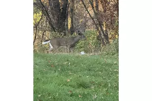 4304 Tamara Dr, Eau Claire, WI 54701 - Photo 48