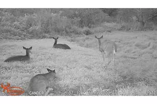 S9025 Lowes Creek Rd, Eleva, WI 54738 - Photo 52