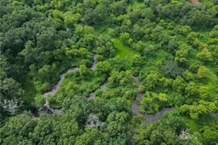 S9025 Lowes Creek Rd, Eleva, WI 54738 - Photo 6