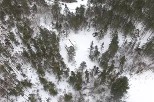 N12395 Eagle View Ct, Minong, WI 54859 - Photo 46