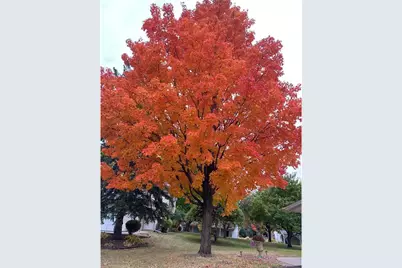 8525 W 97th Street Circle, Minneapolis, MN 55438 - Photo 30