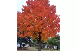 8525 W 97th St Cir, Minneapolis, MN 55438 - Photo 30