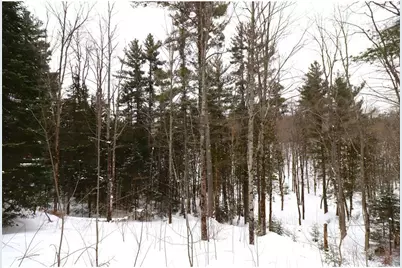 31715 Star Route Road, Bayfield, WI 54814 - Photo 42