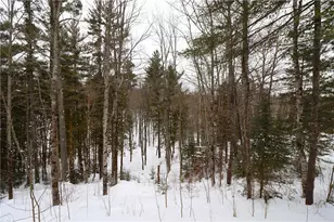 31715 Star Rte Rd, Bayfield, WI 54814 - Photo 42