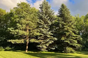 925 Sadies Ln, Hudson, WI 54016 - Photo 16