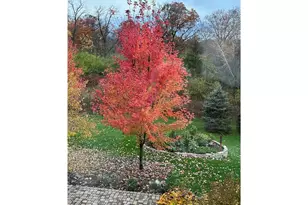 1430 25th St, Saint Joseph, WI 54082 - Photo 56