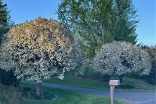 494 192nd Ave, Somerset, WI 54025 - Photo 28