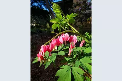 707 W Columbia Street, Chippewa Falls,  54729 - Photo 54