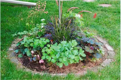 112 Elbert Drive, Rice Lake, WI 54868 - Photo 40