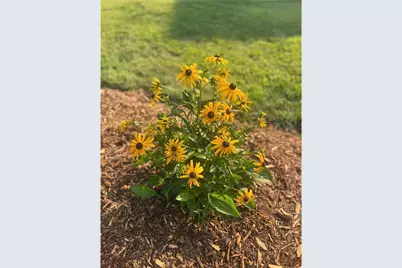 875 161st Street, Hammond Township, WI 54015 - Photo 76