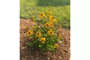 875 161st St, Hammond Township, WI 54015 - Photo 76