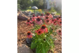 875 161st St, Hammond Township, WI 54015 - Photo 80