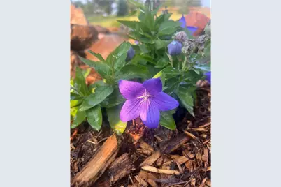 875 161st Street, Hammond Township, WI 54015 - Photo 72