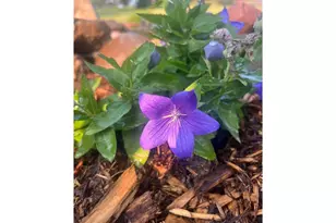 875 161st St, Hammond Township, WI 54015 - Photo 72