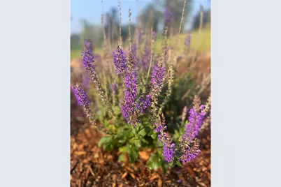 875 161st Street, Hammond Township, WI 54015 - Photo 84