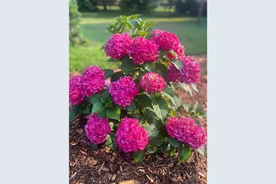 875 161st Street, Hammond Township, WI 54015 - Photo 74