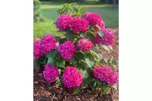 875 161st St, Hammond Township, WI 54015 - Photo 74