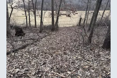 0 Theurer Lane, Arcadia, WI 54612 - Photo 10