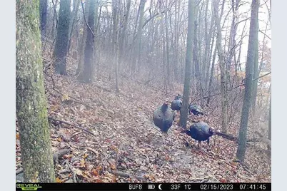 0 Theurer Lane, Arcadia, WI 54612 - Photo 40