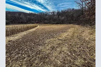 0 Theurer Lane, Arcadia, WI 54612 - Photo 4