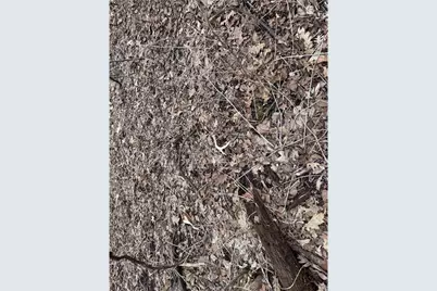 0 Theurer Lane, Arcadia, WI 54612 - Photo 18