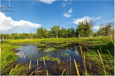 5788 County Road C, Webster, WI 54893 - Photo 16