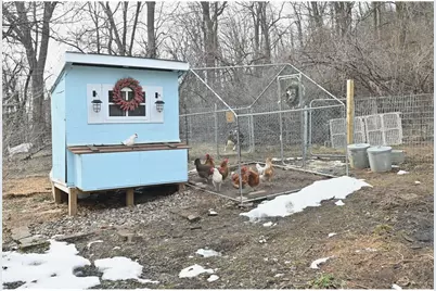 W7410 State Road 65, Beldenville, WI 54003 - Photo 44