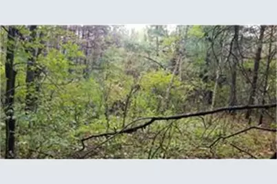 Lot 3 Paulsen Lake Lane, Osceola, WI 54020 - Photo 6